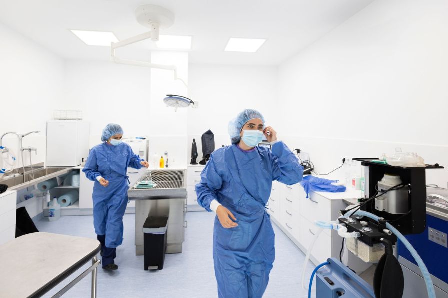 Sala preoperatori cirurgia veterinària