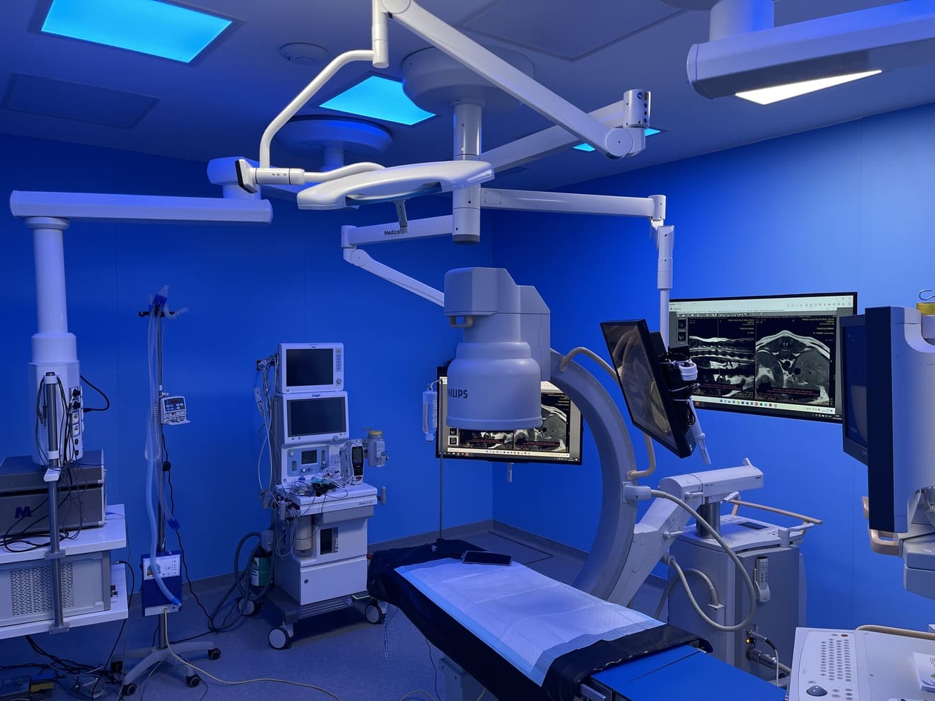 endoscopy veterinary operating room